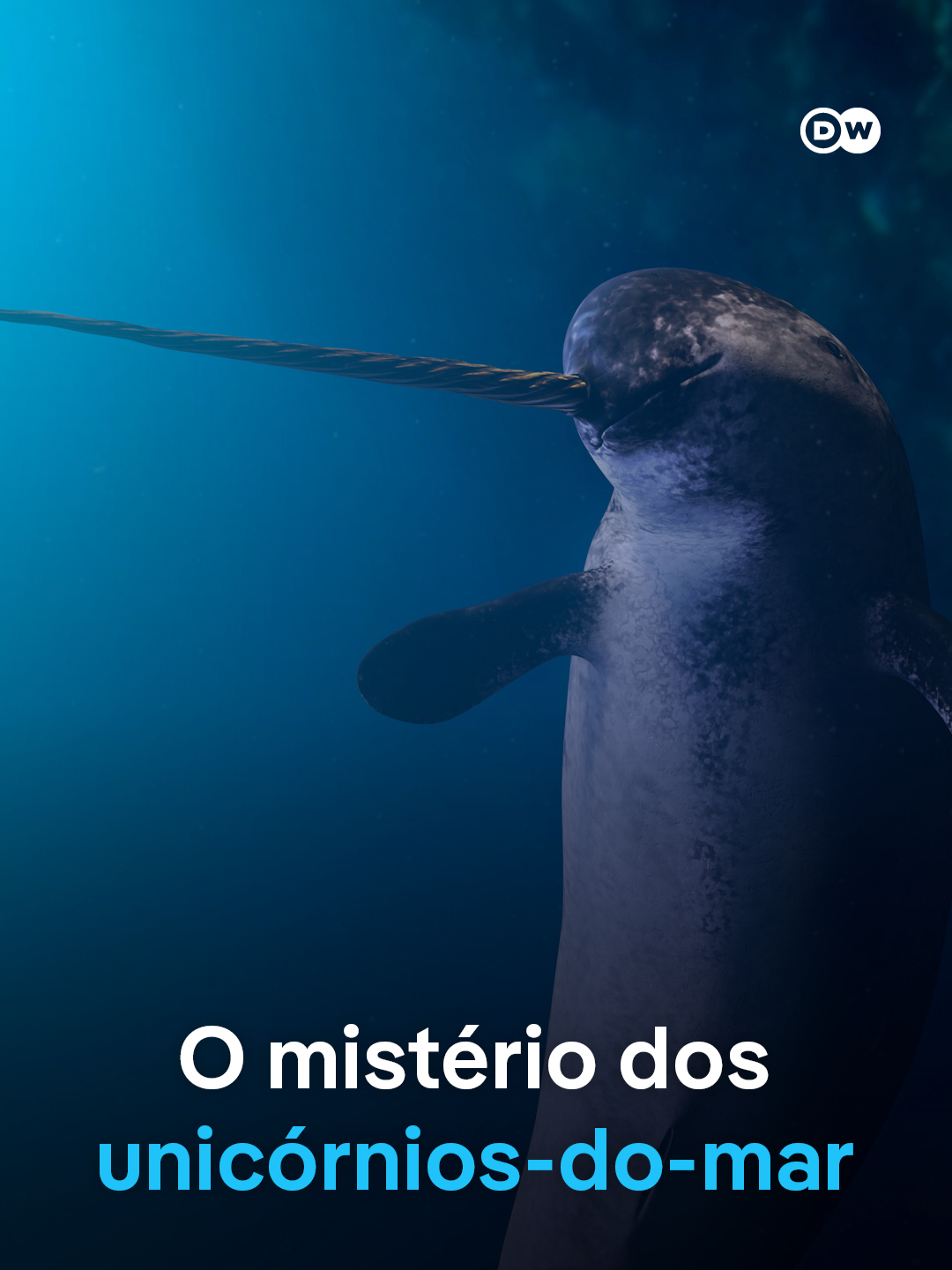 @DW Brasil