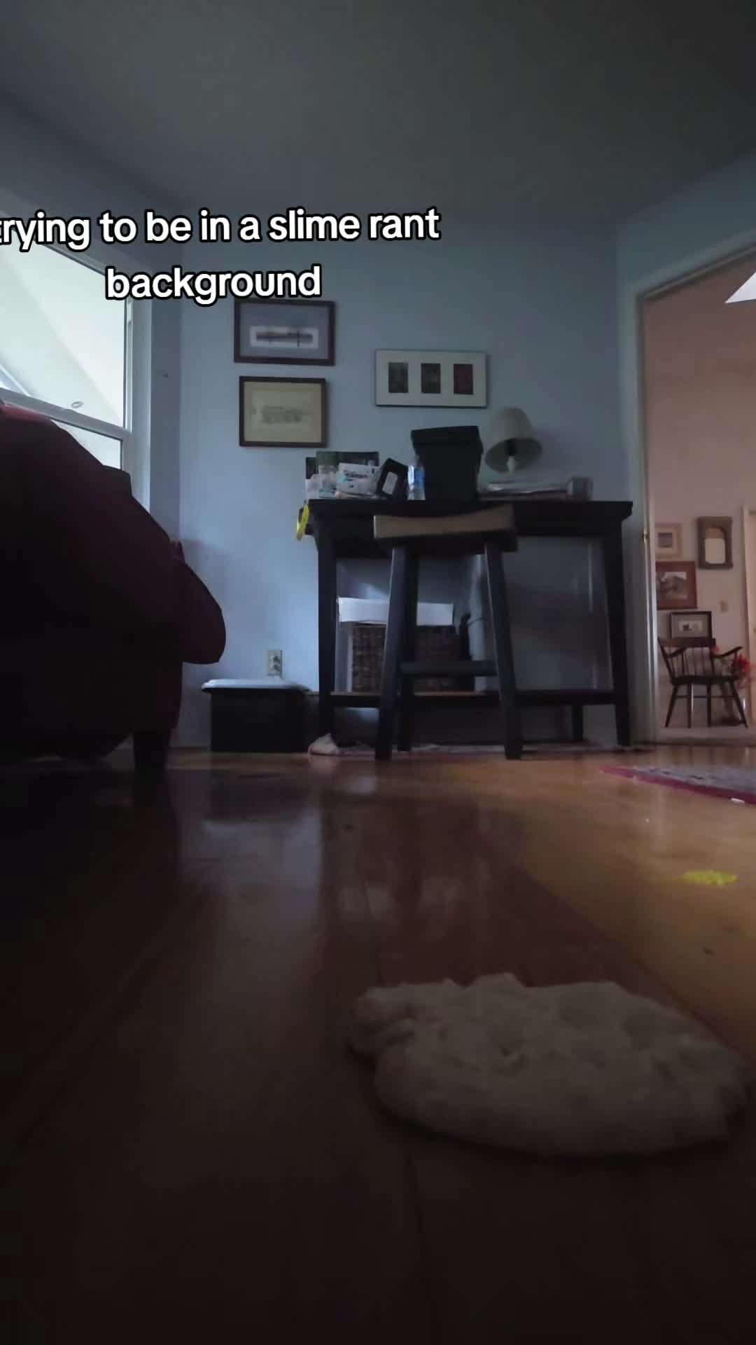 @catnovem