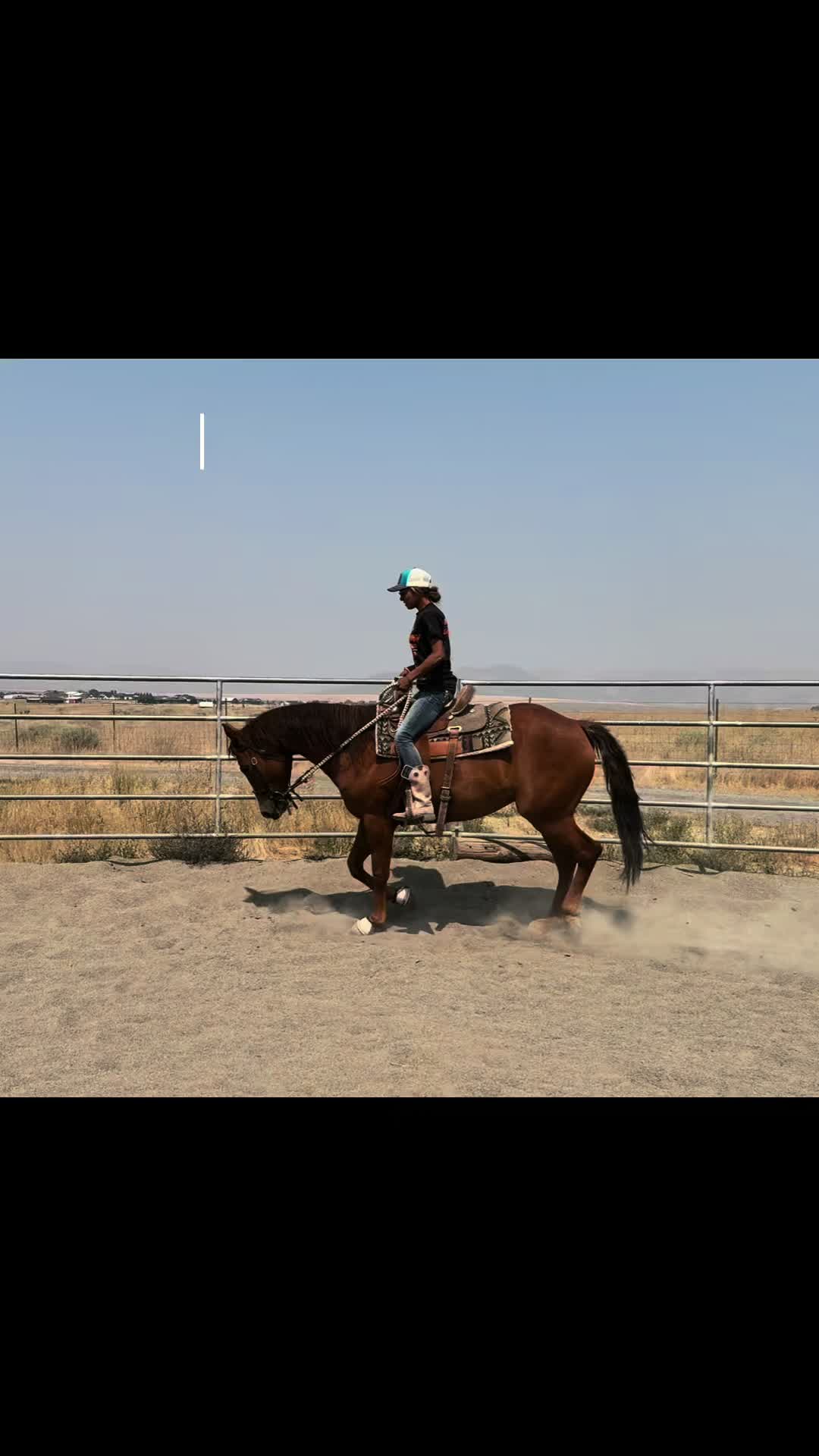 @Cowgirl Tuff Colt Training ❤️