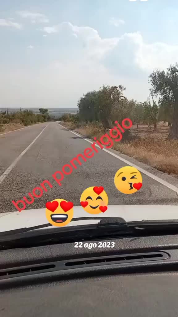 @il pugliese