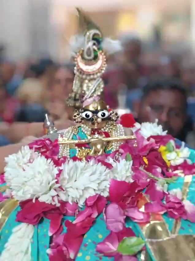 @Vipul Prajapati