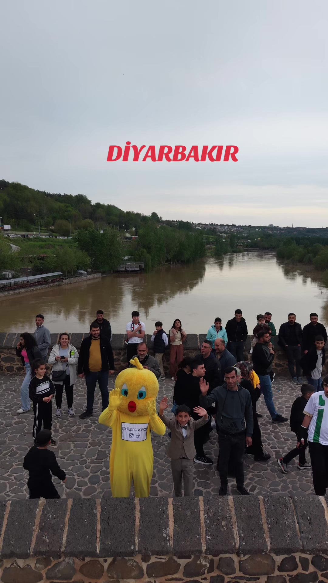 @ÇILGINCİVCİV21 ✅