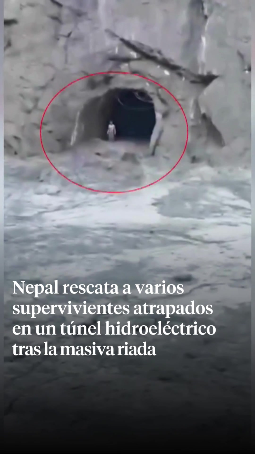 @La Vanguardia 🗞