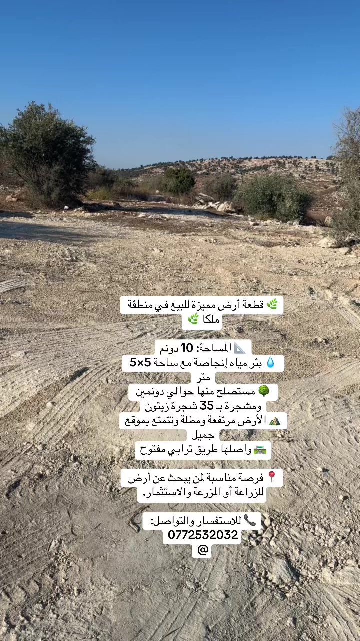@محمد ملكاوي