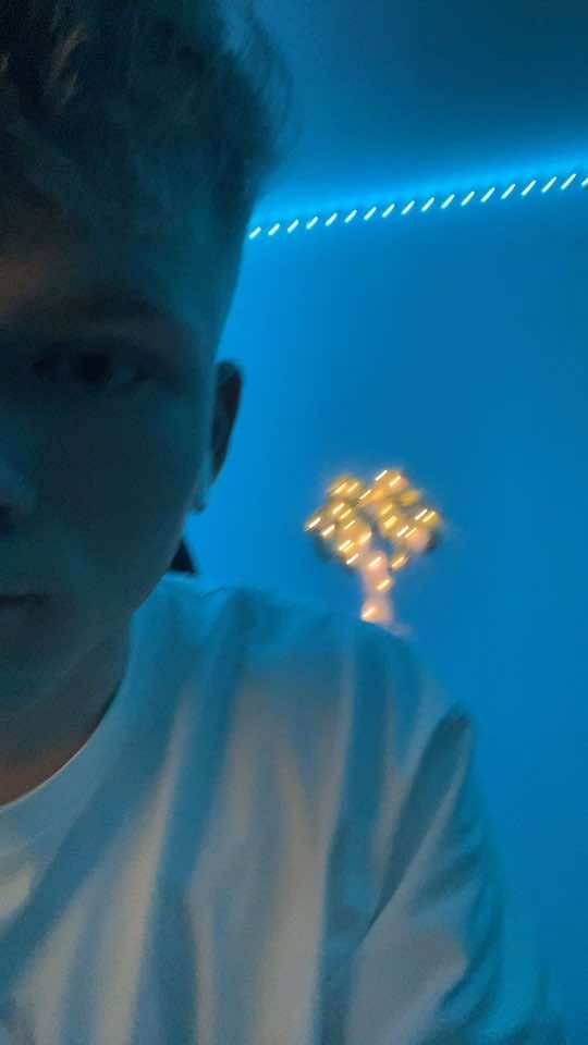 @damian.bsp