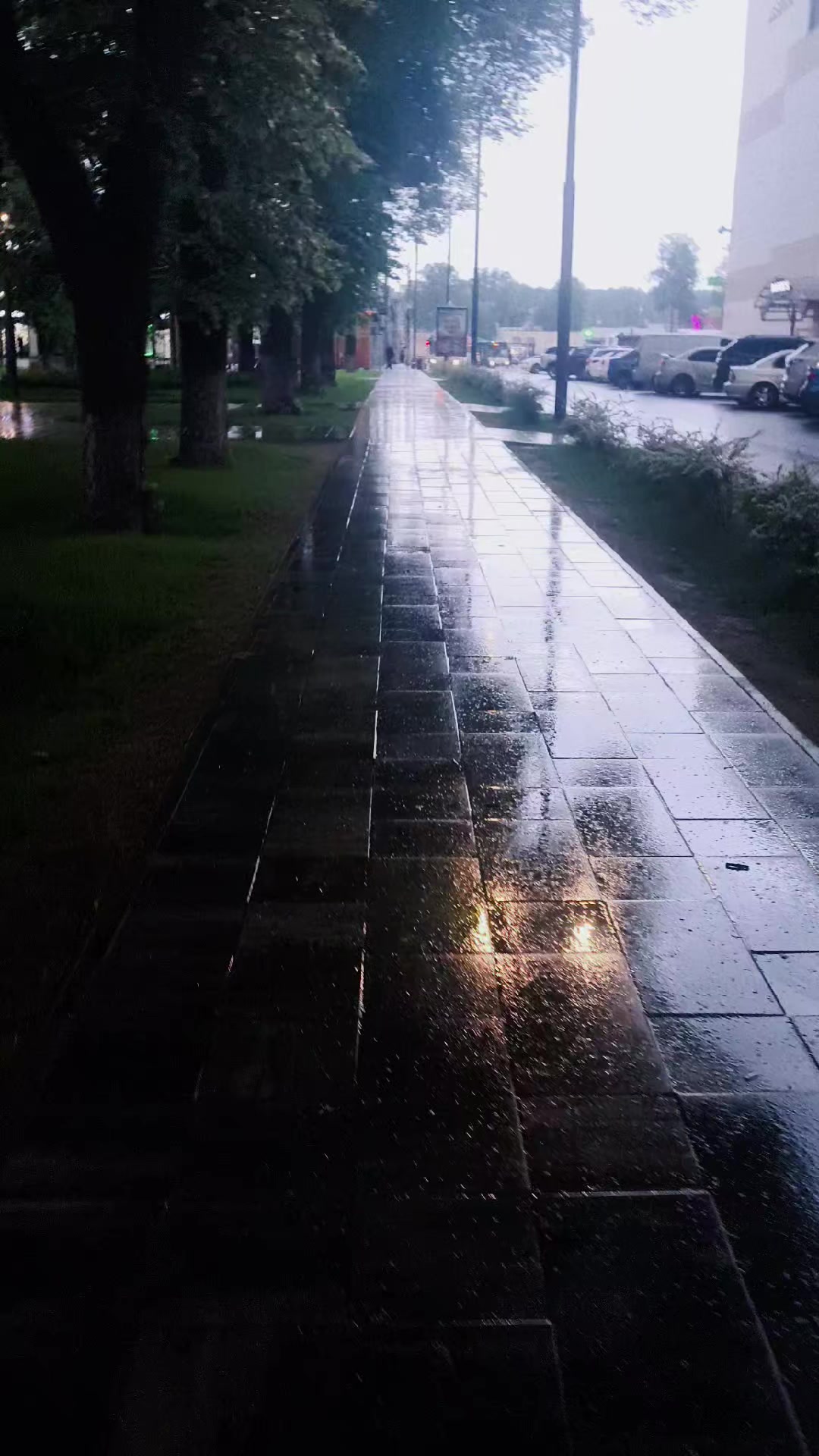 @Максон Химик