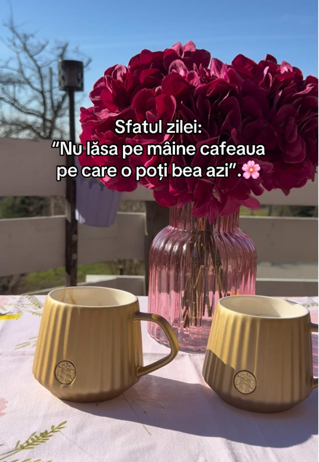 @Claudia Constantin