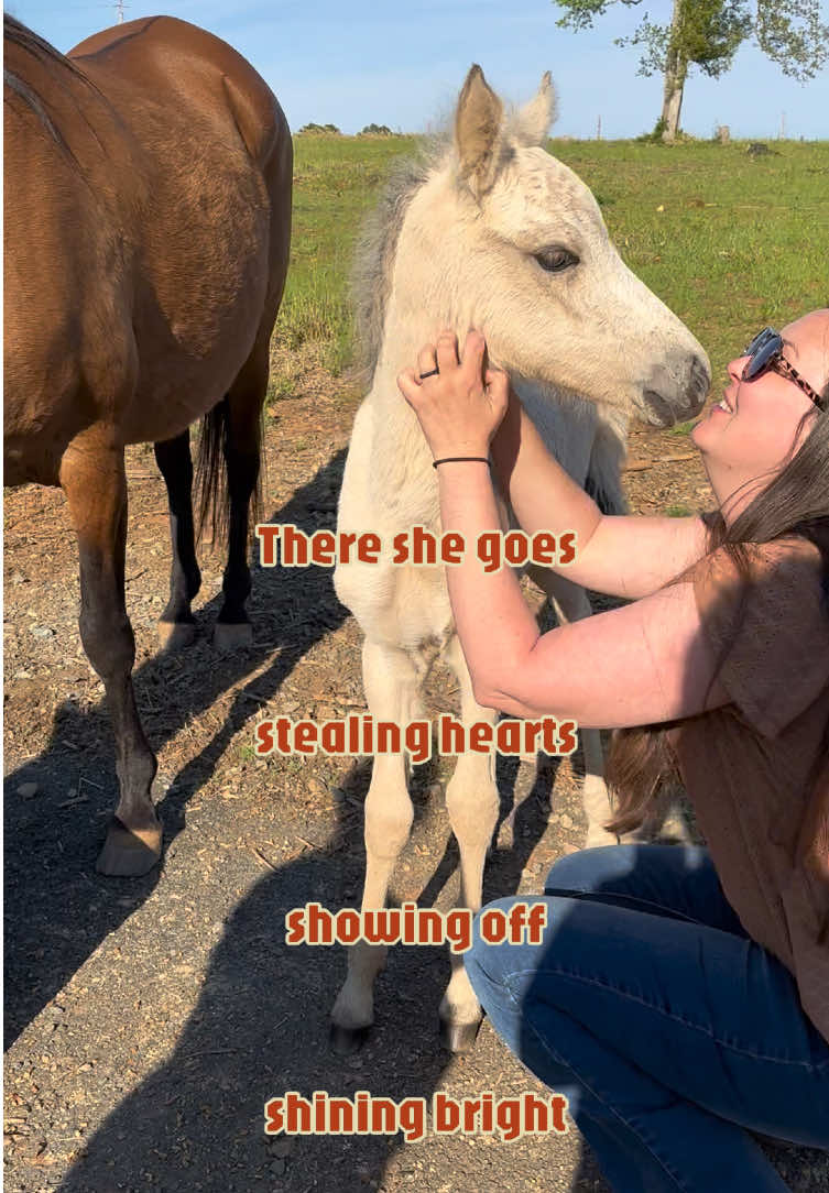 @SlowlaneFarm