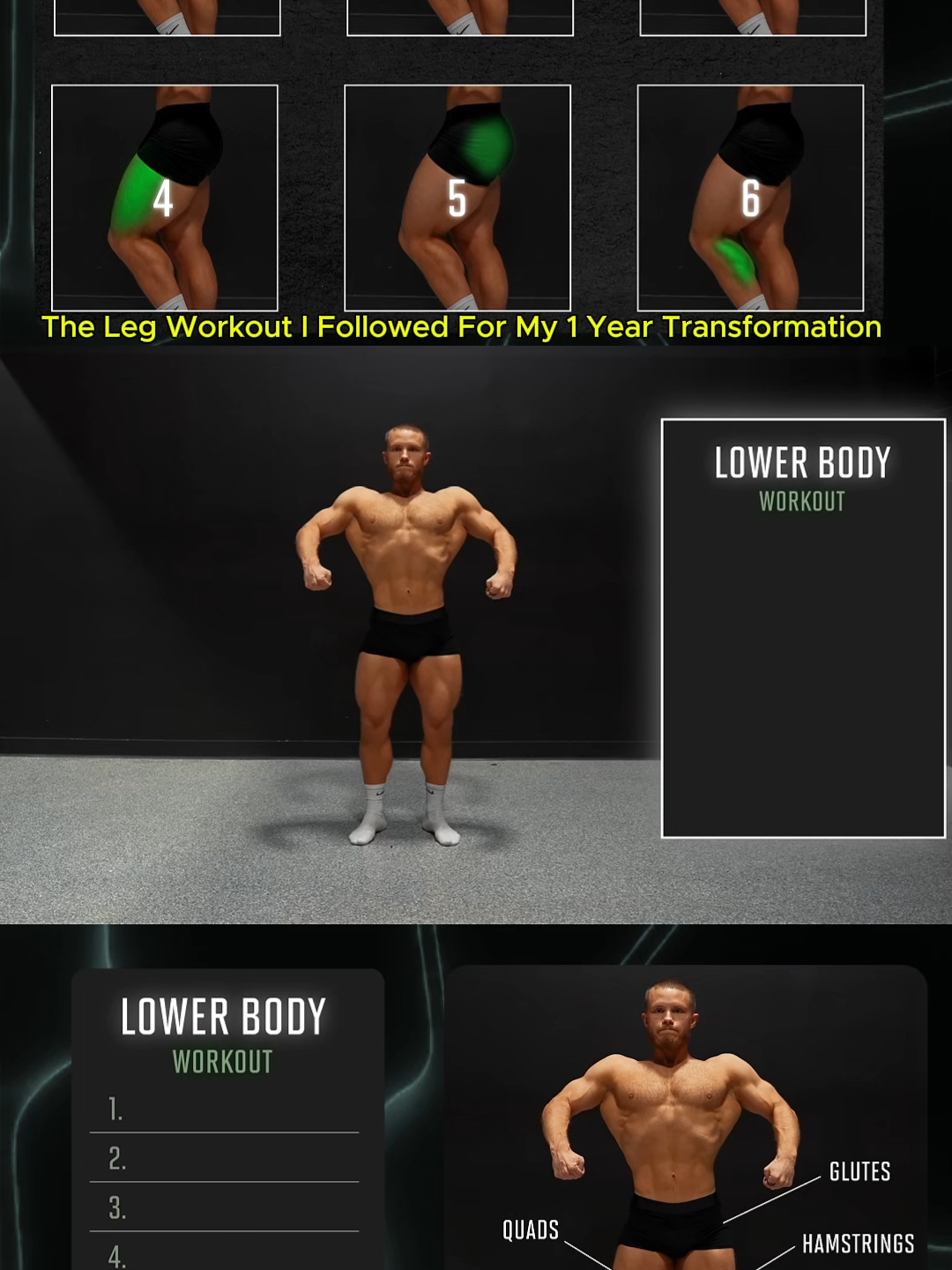 @Bodybuilder