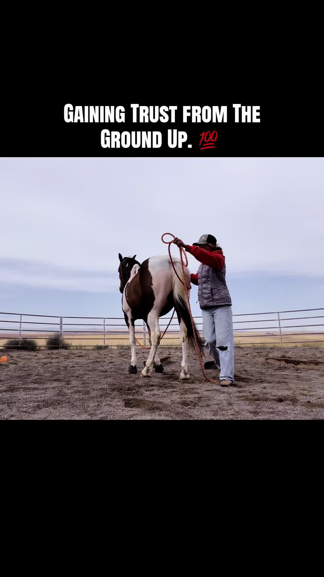 @Cowgirl Tuff Colt Training ❤️