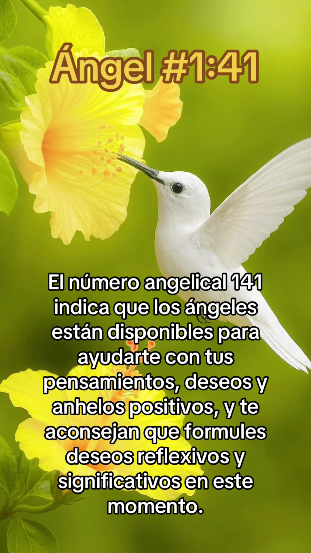 @ᑭOᖇTᗩᒪ Oᖴ EᔕᔕEᑎTIᗩᒪ ᒪIGᕼT