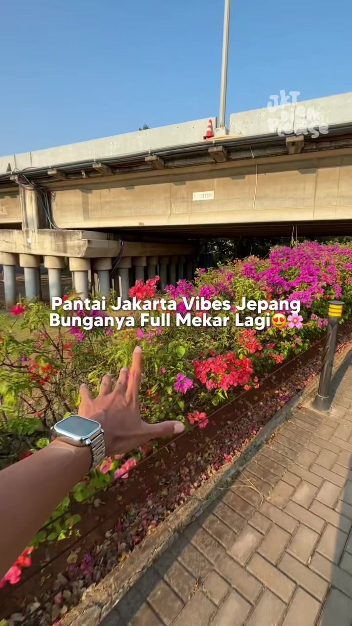 @JKT Diem Please