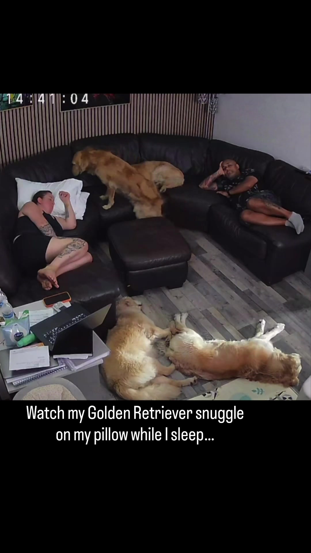 @5 Shades of Golden