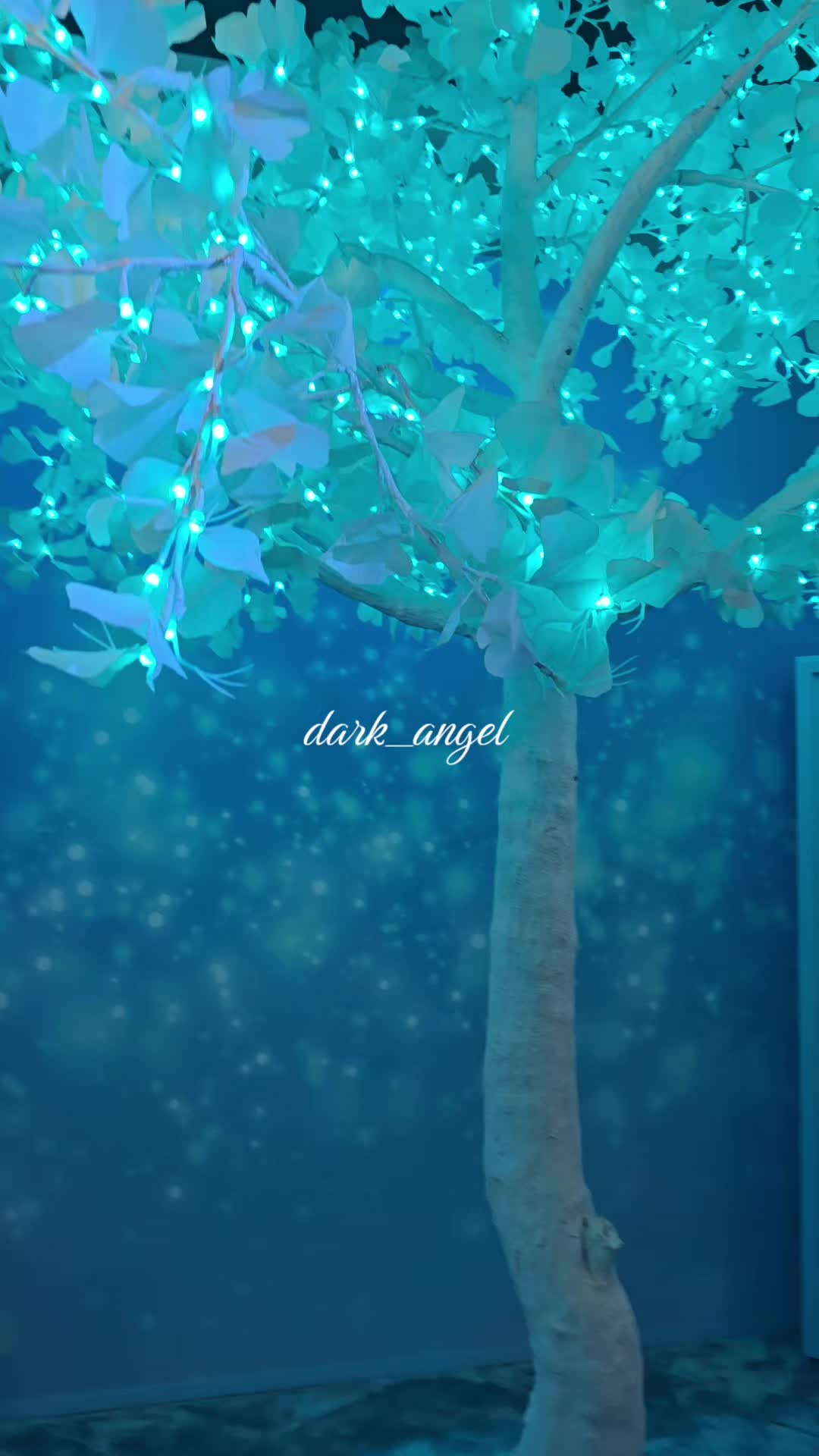 @Dark Angel