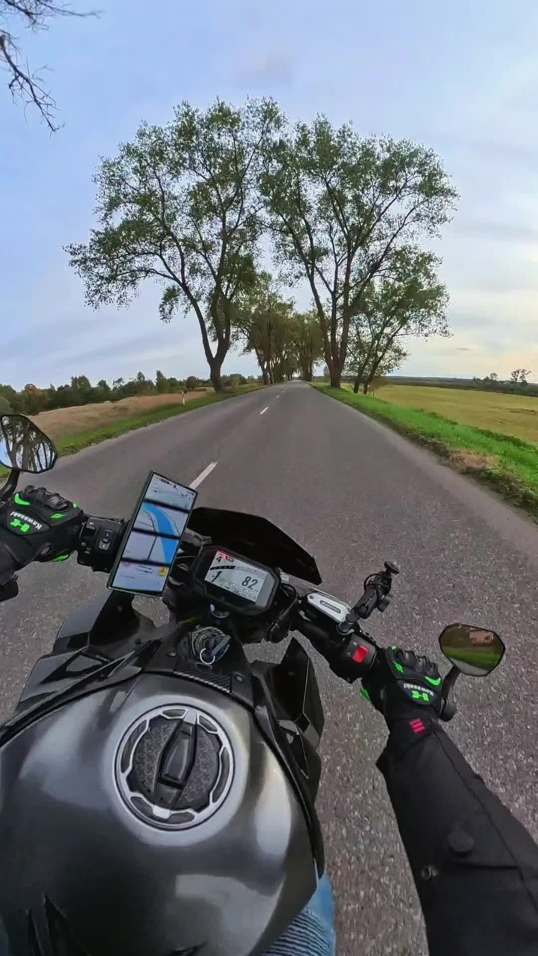 @🏍 Captain Snail 🐌