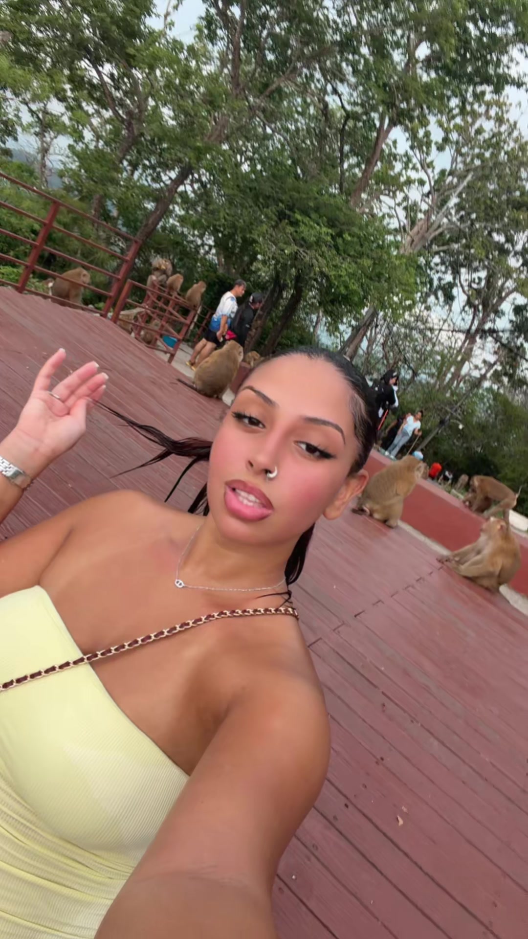 @chdmly
