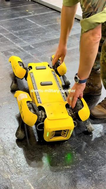 @shorts-military-spotter