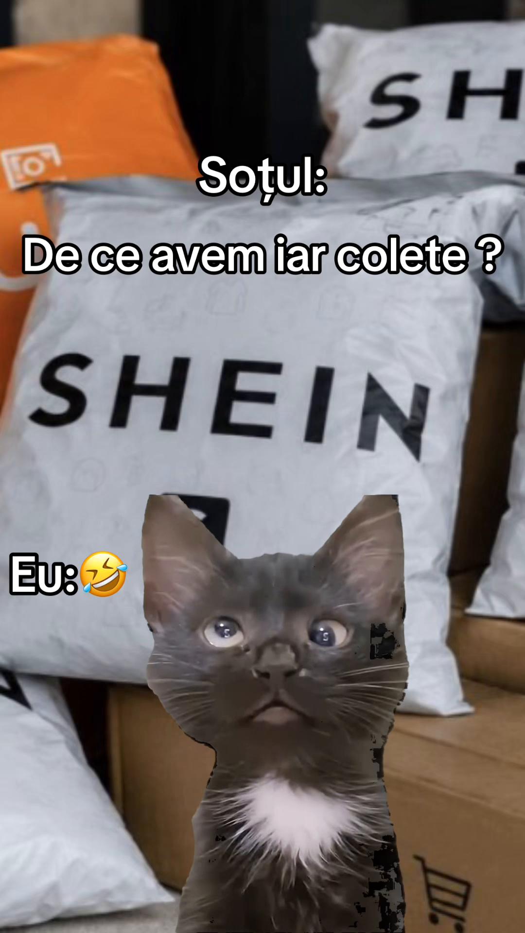 @Ionut17