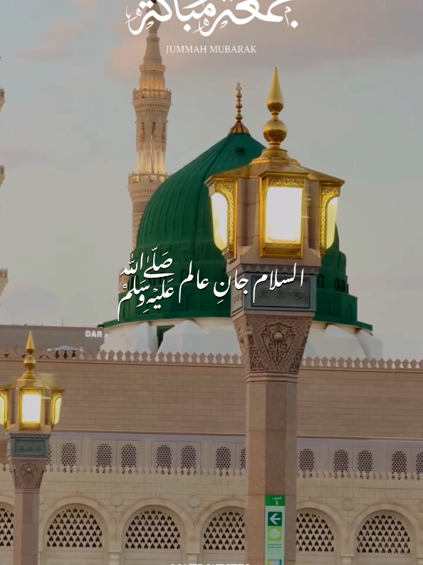 @𝙈𝘼𝙅𝙄𝘿 𝙒𝙍𝙄𝙏𝙀𝙎 ✨