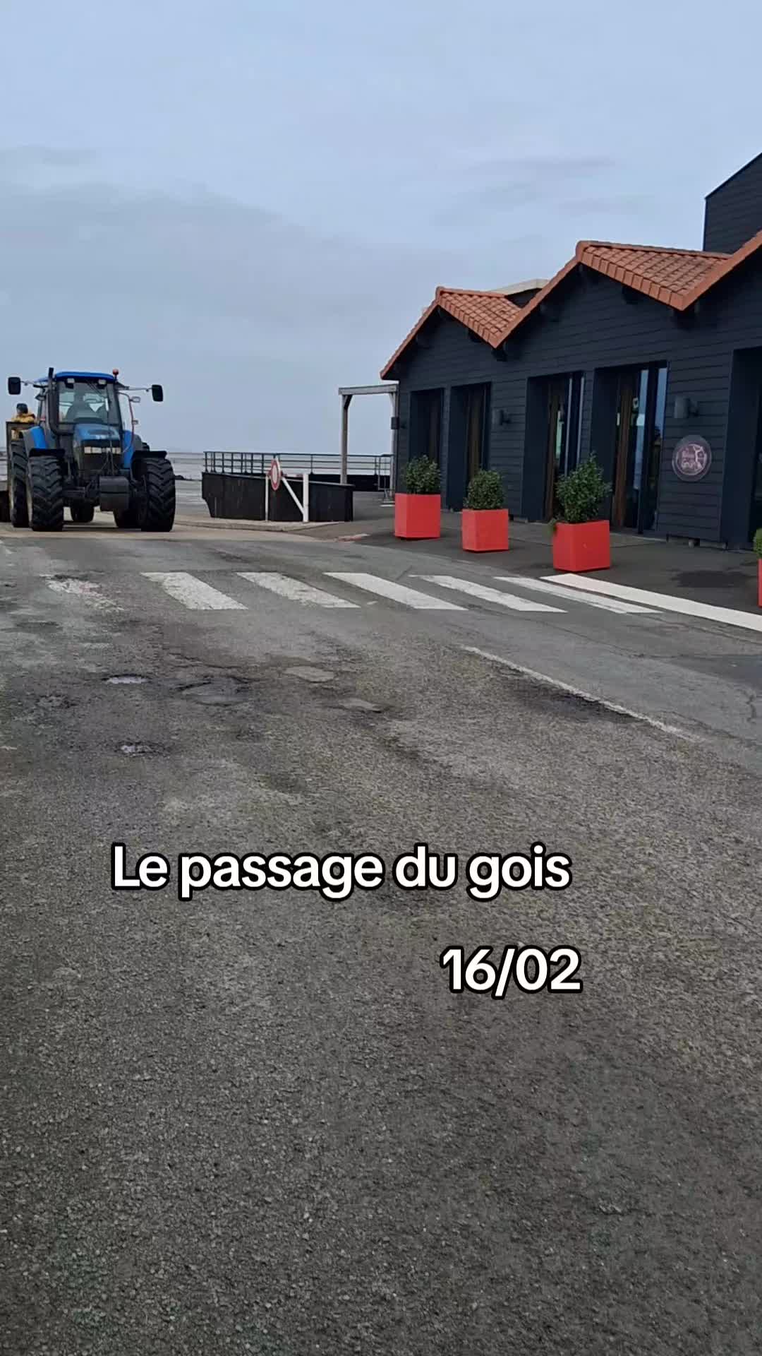 @Marina Caillault