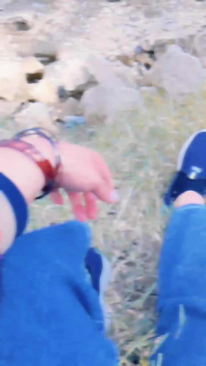 @punjabi song ki dewani kori ♥️