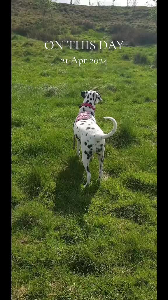 @Stacey Douglas892
