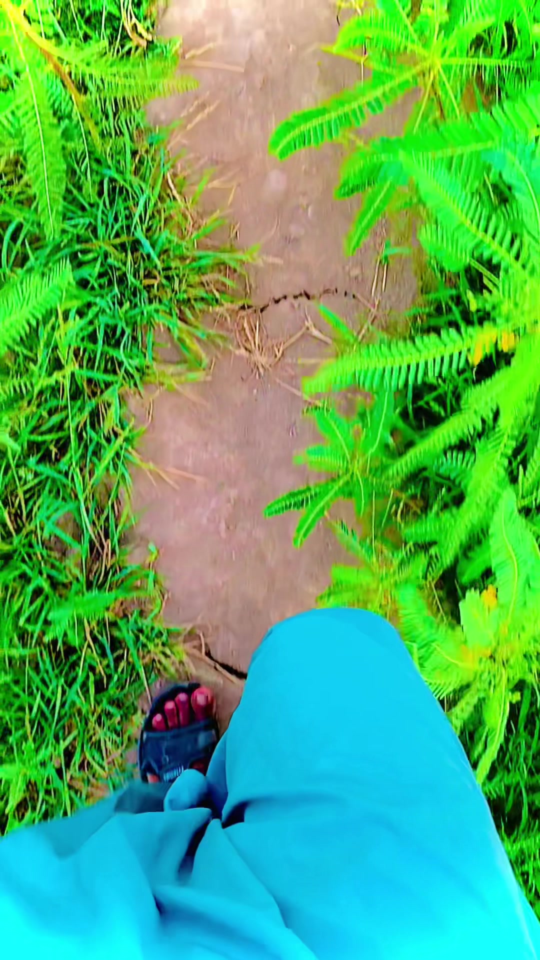 @mukeshbheel786