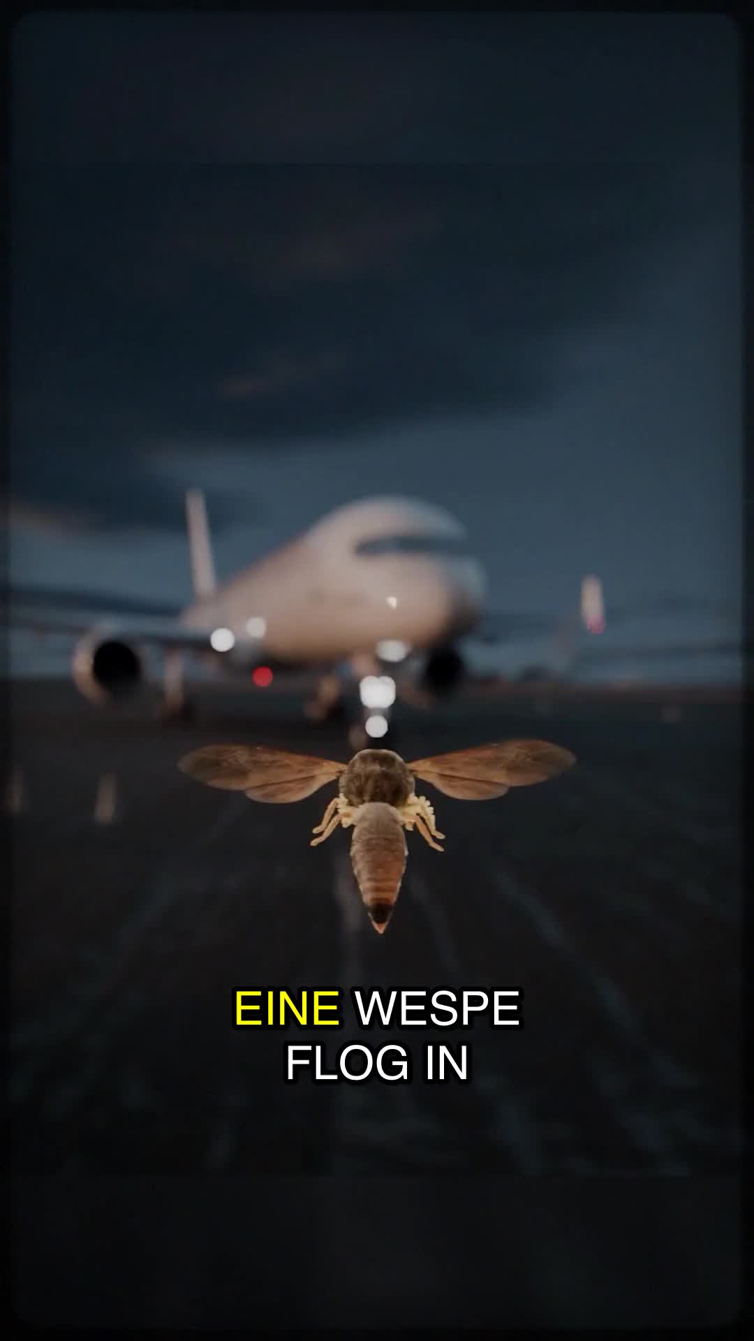 @Mittealterliche