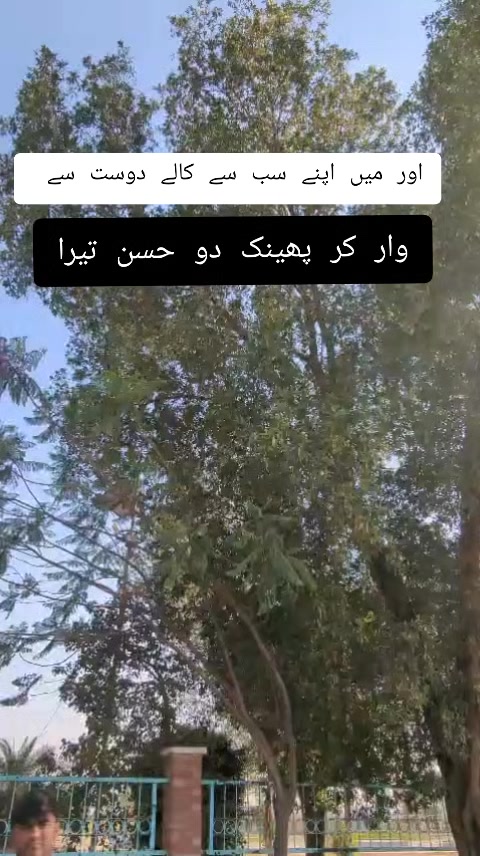 @🏴☠️ حسان بادشاہ 🏴☠️