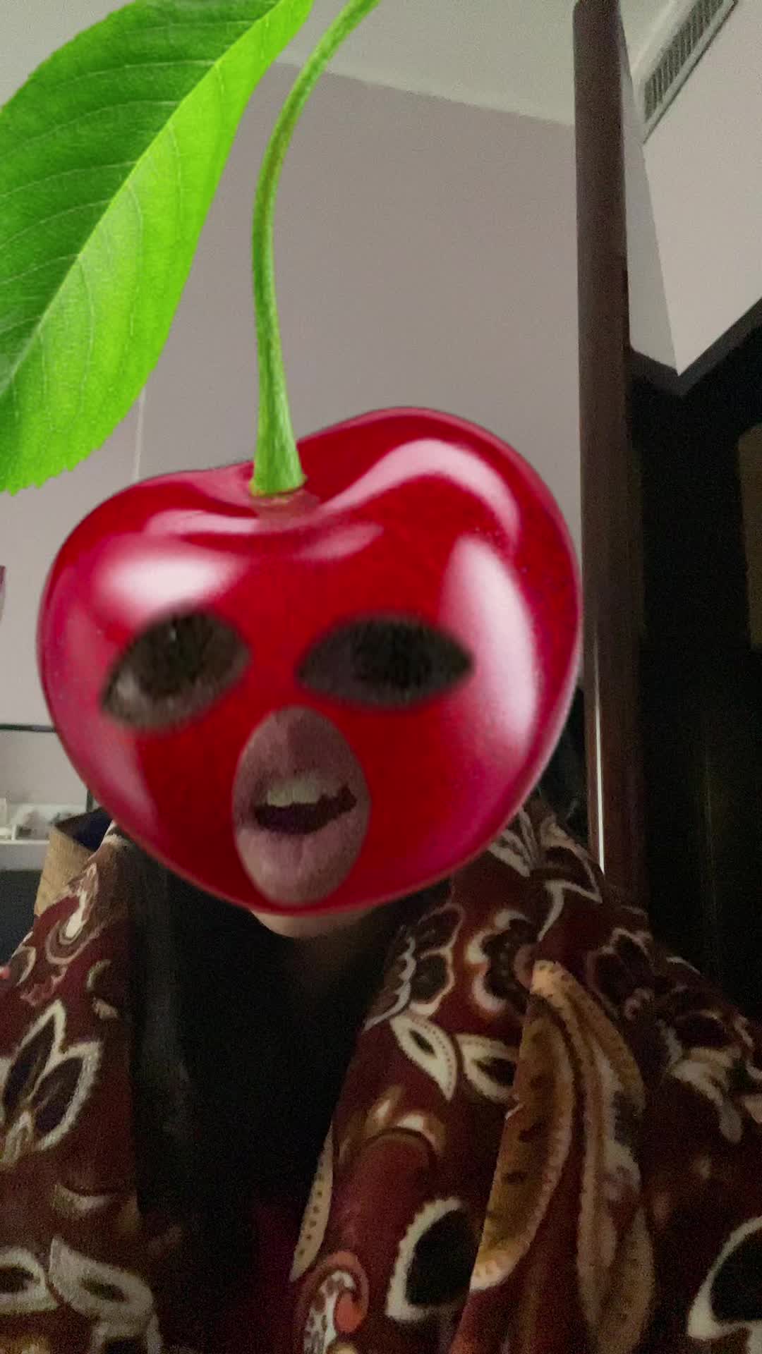 @Robintra98