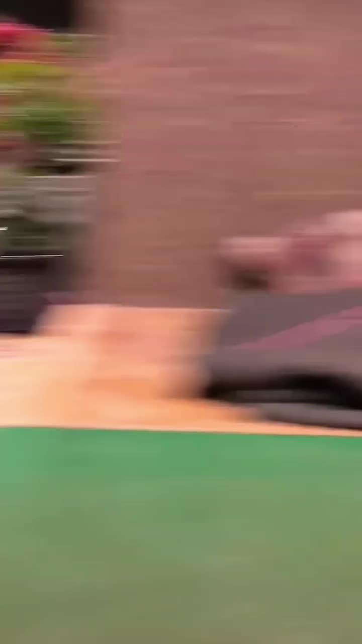 @dogadoption