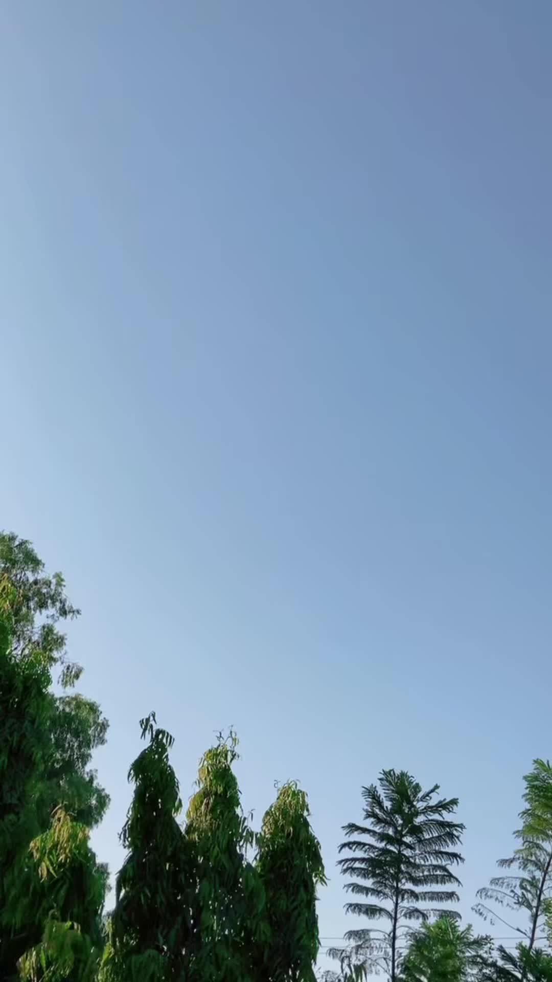 @Dilawar Bhakkar ala
