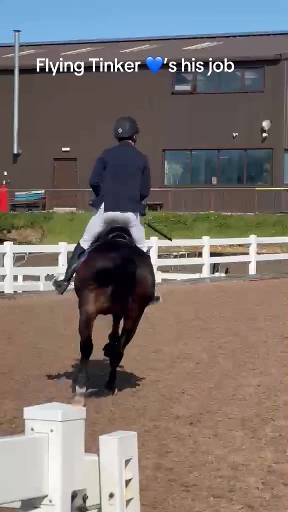 @markedwardsshowjumping