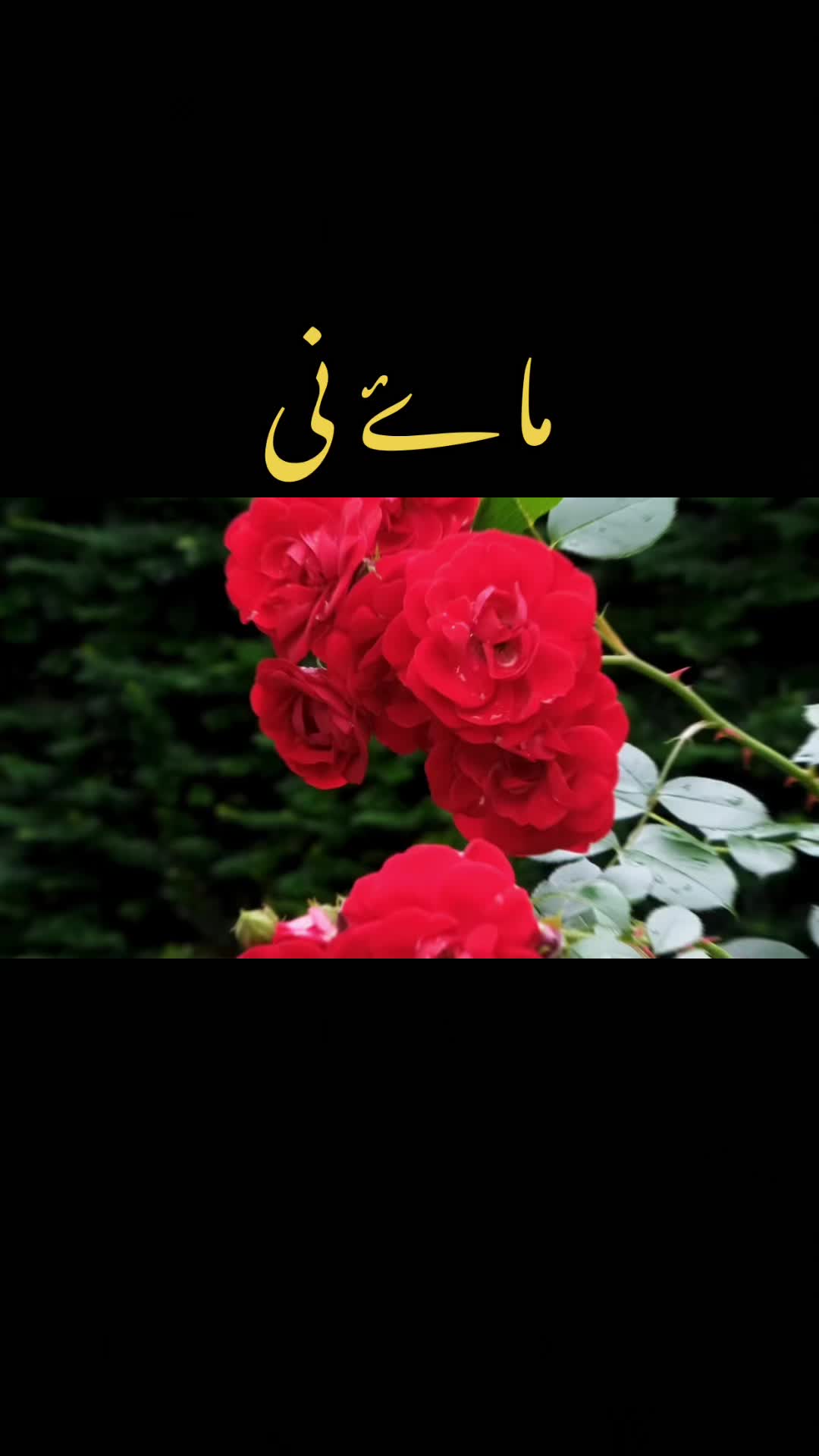 @Jat sab