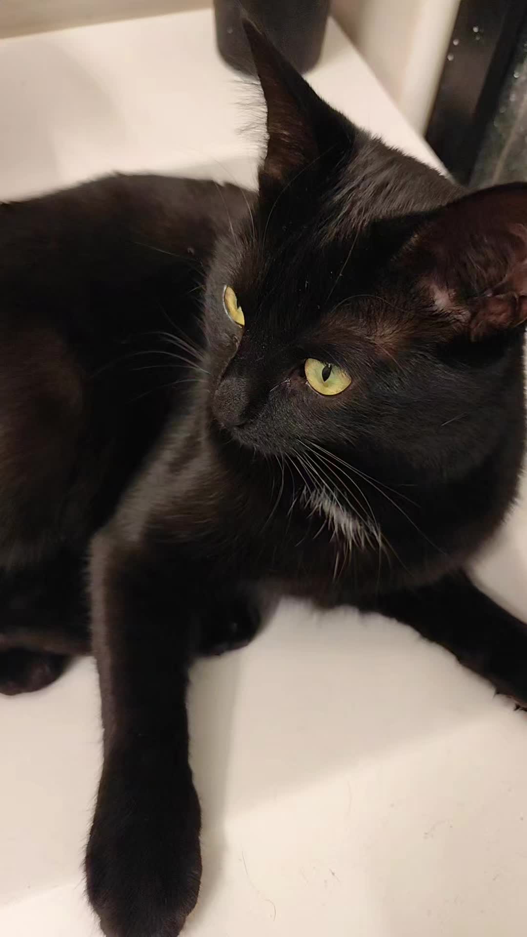 @Nyx 🌙