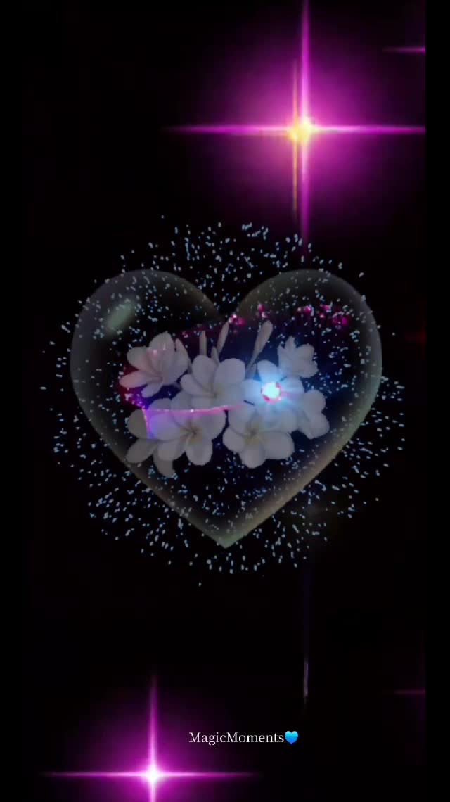@๐Cammy๐ฆTamaya๐ค