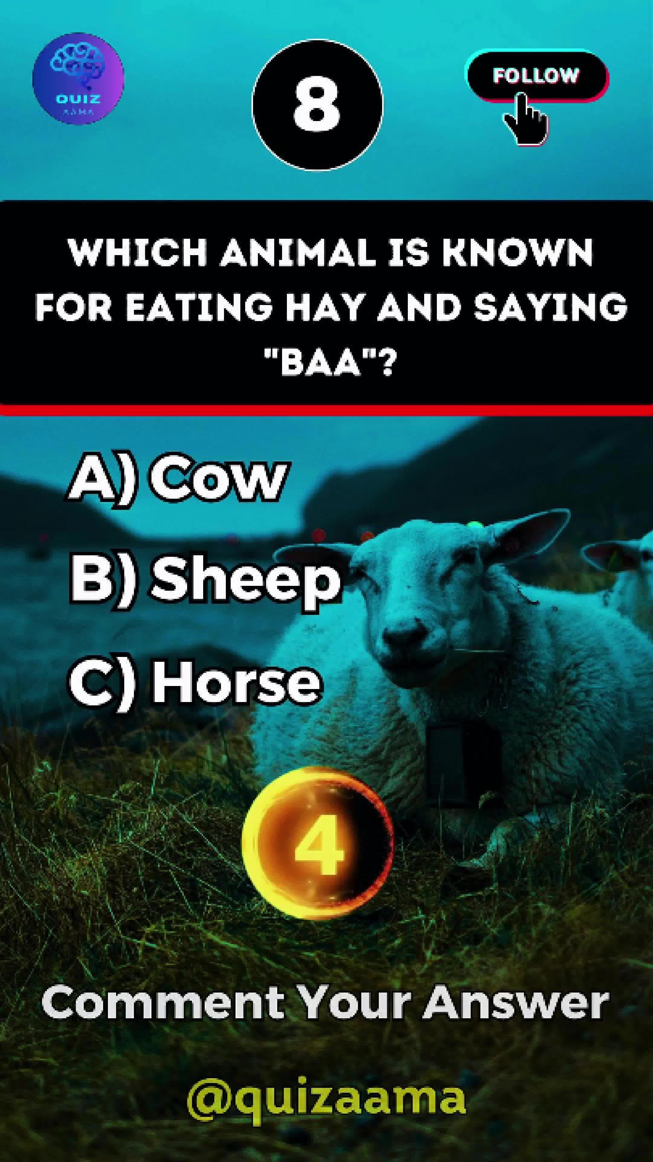 @Quiz Aama