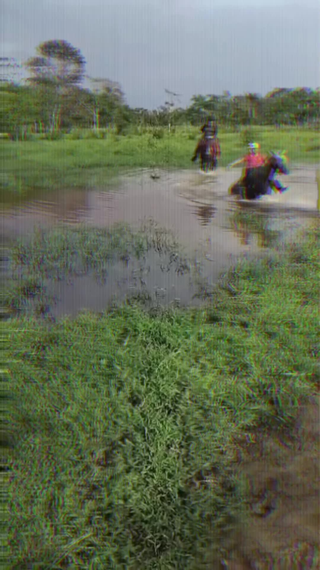 @🙏estrada-palacios🇳🇮