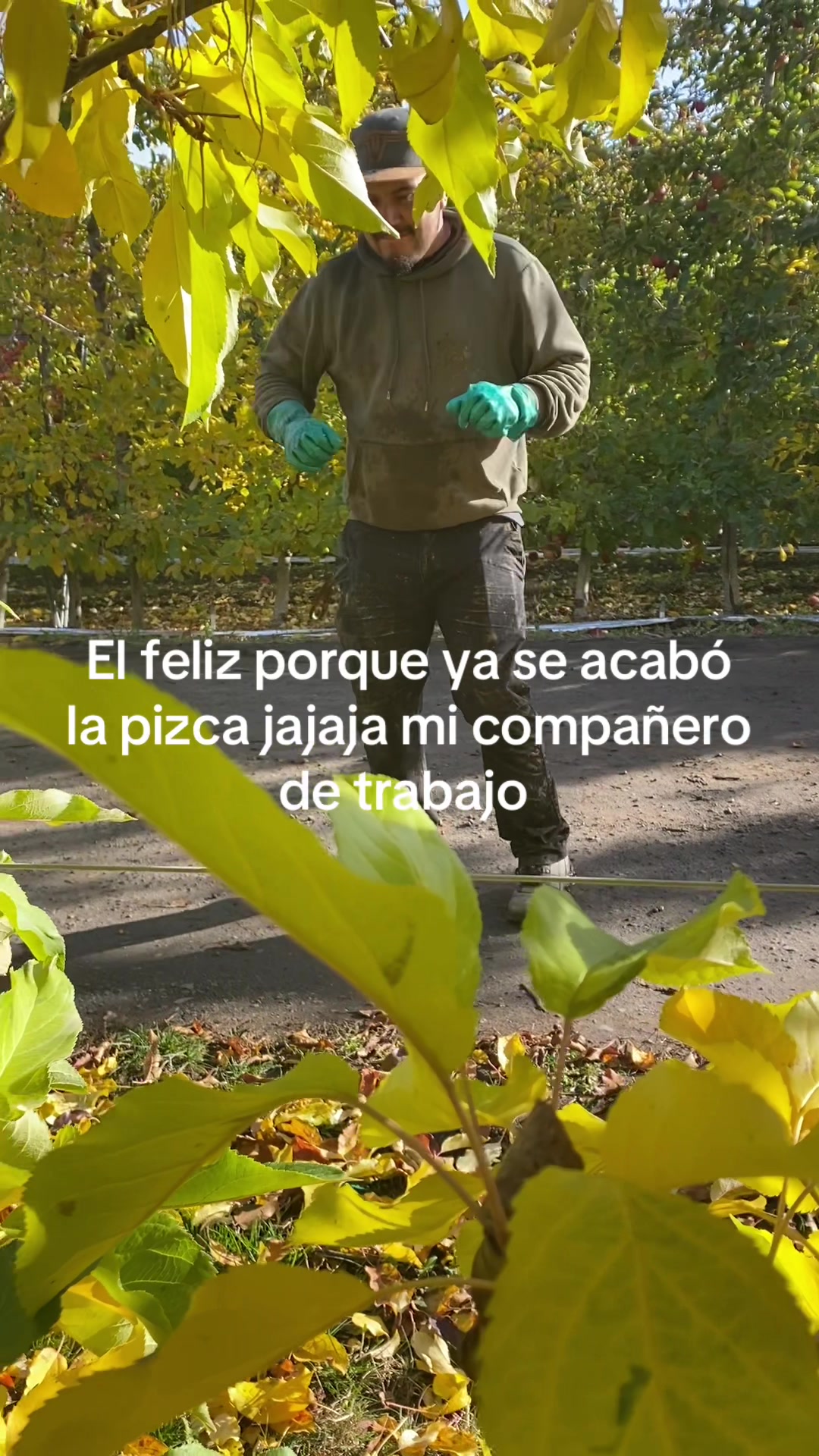 @Rosa Garcia