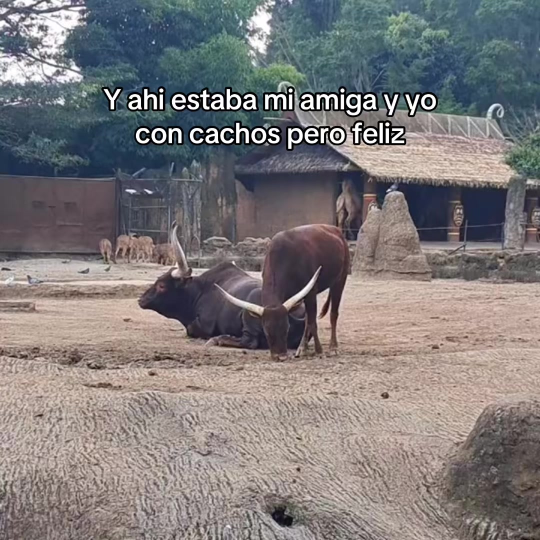 @flakita aly♋️🇪🇸🇬🇹