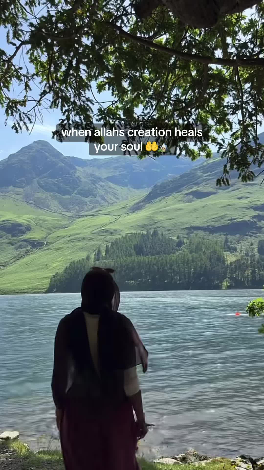 @syeda_20188