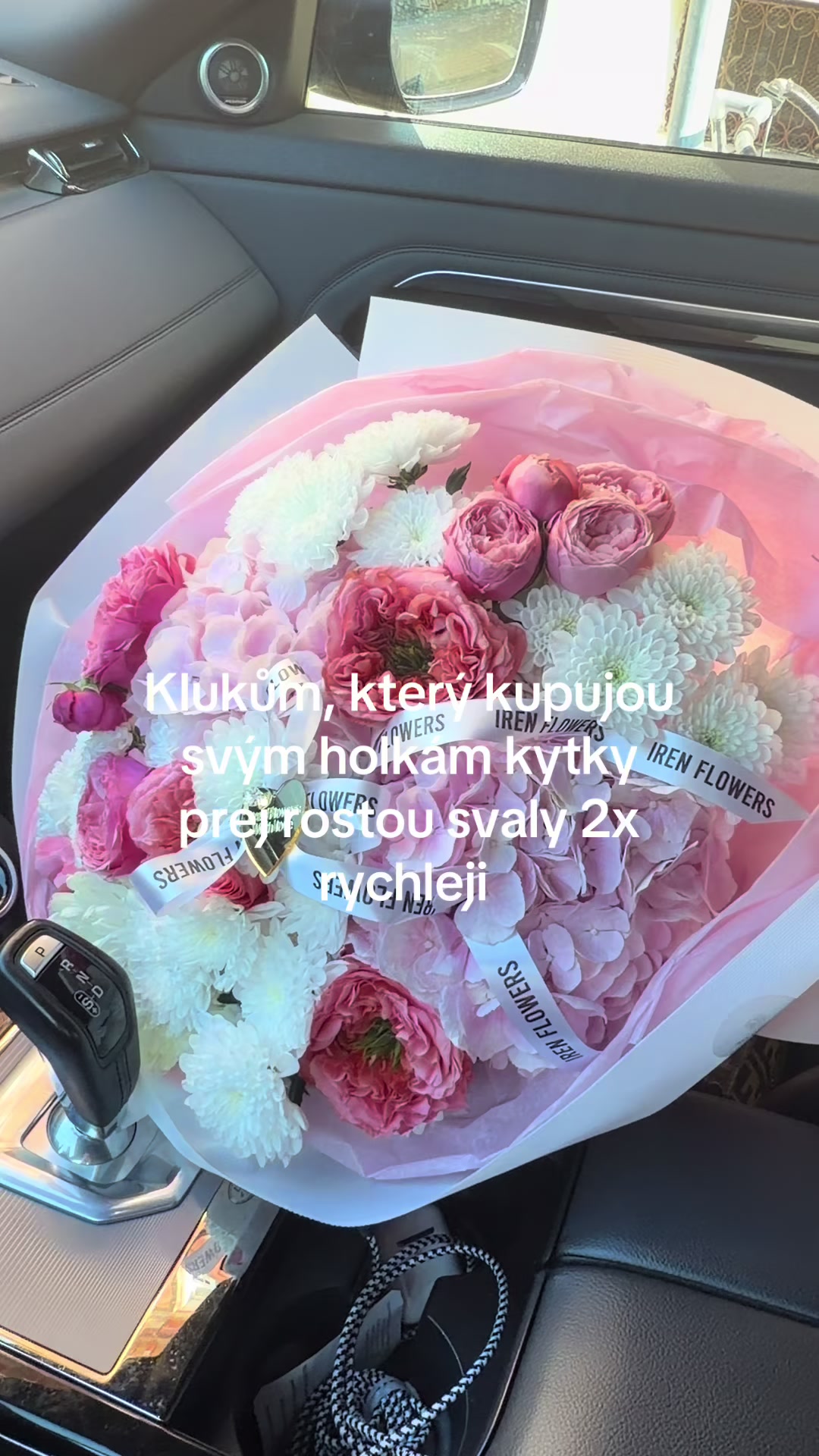 @danielap1kl