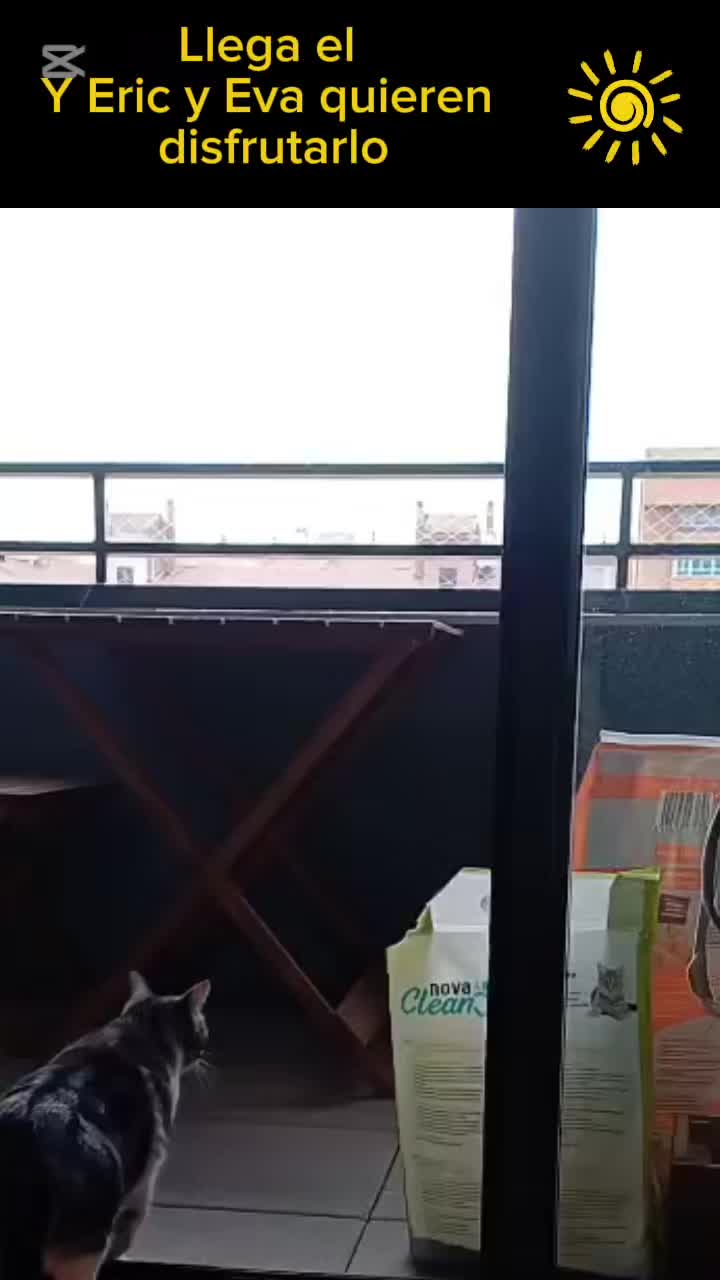 @enGatadas