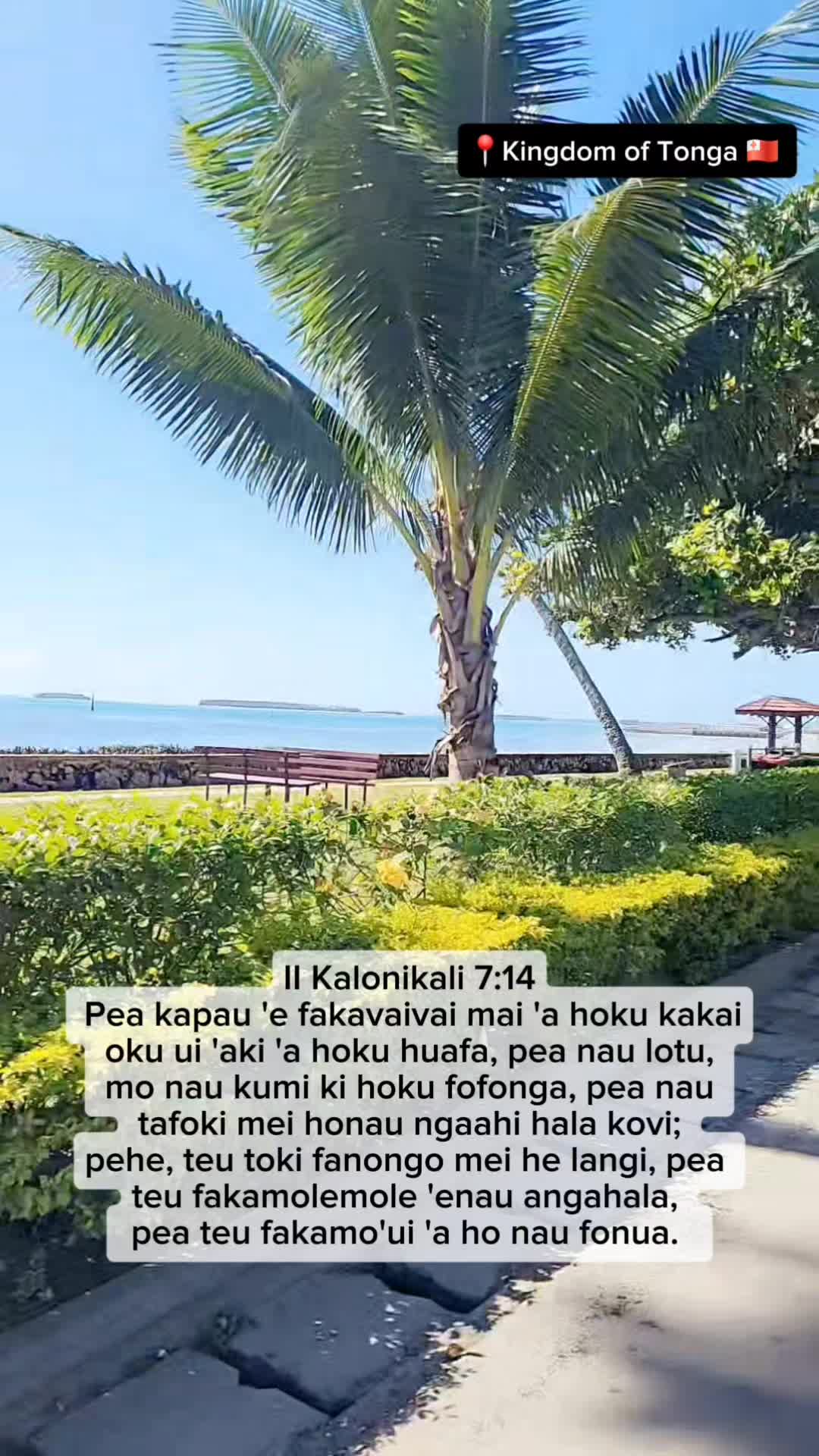 @IVeiki