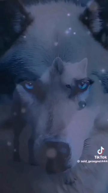 @꧁☬🐺ALEXANDER HIGGINS🐺☬꧂