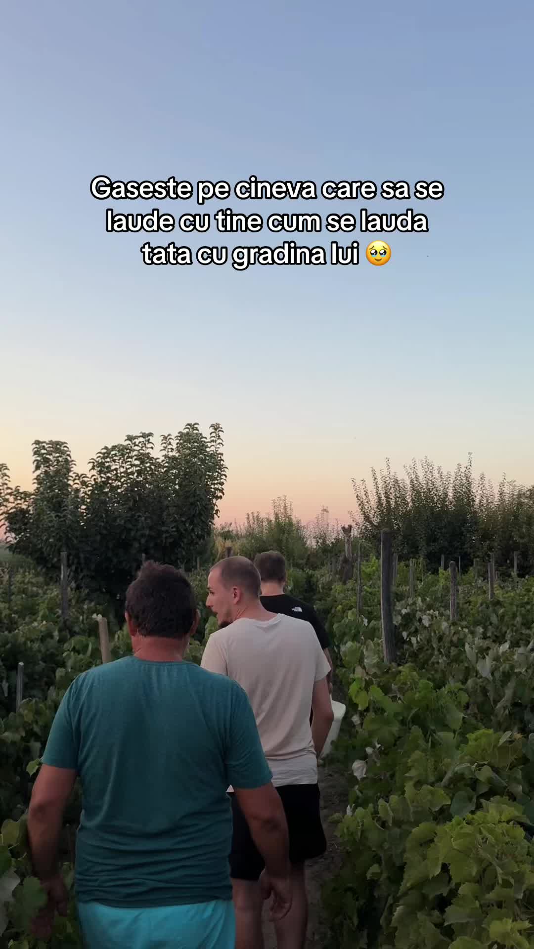 @Vera🧚🏼♀️