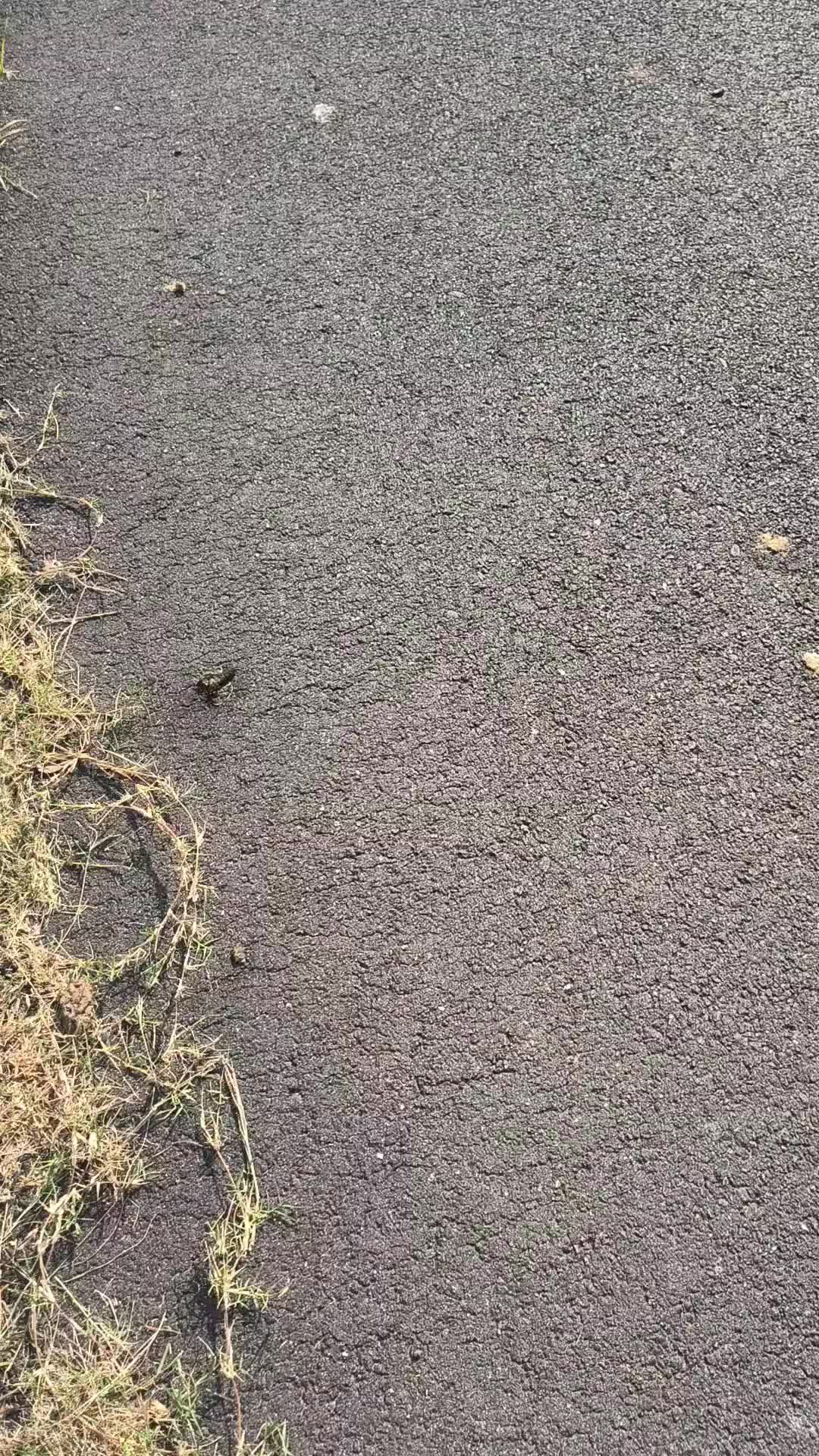 @TMAC❌️ tammymcconnell76