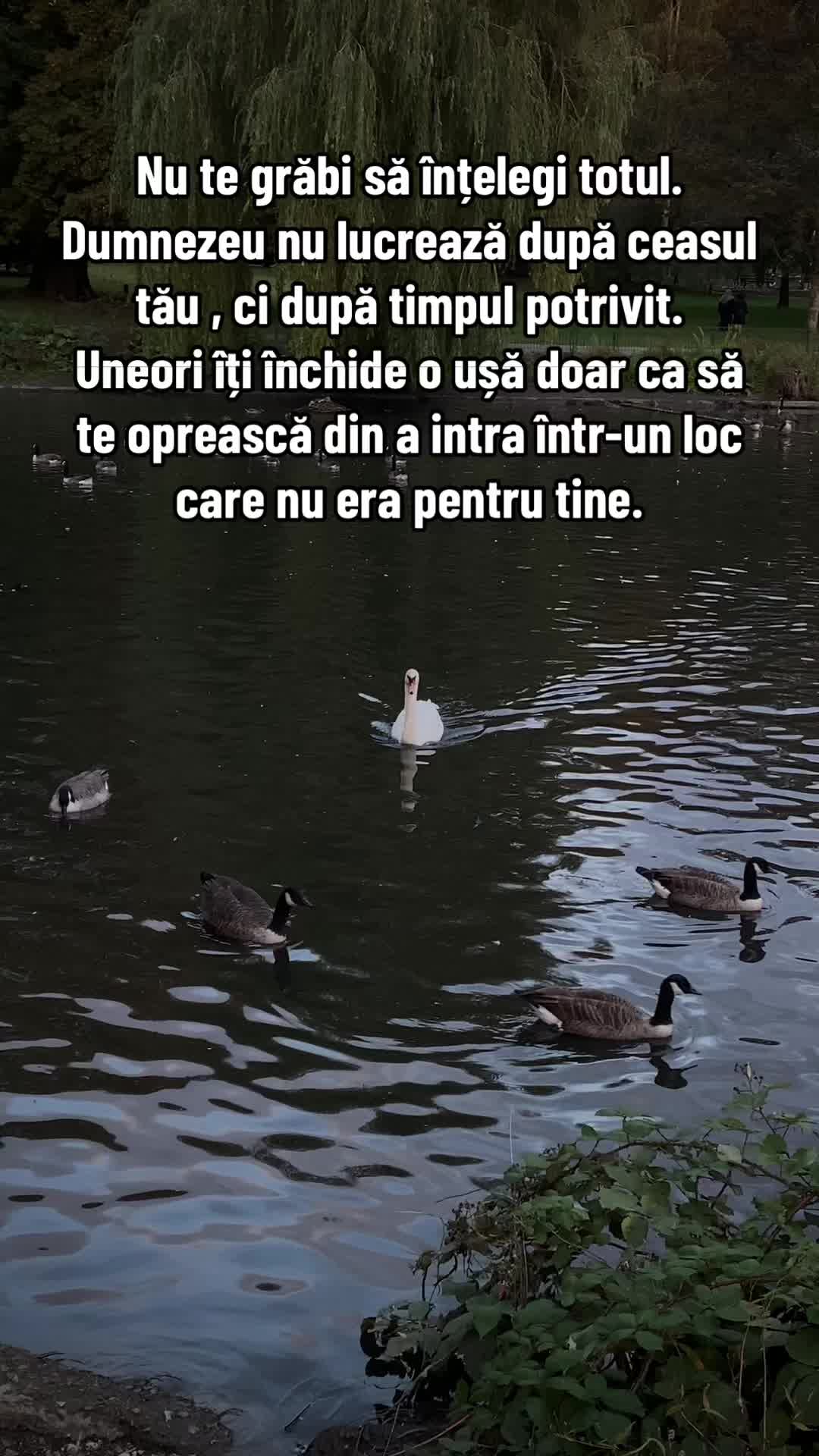 @B E A T R I C E