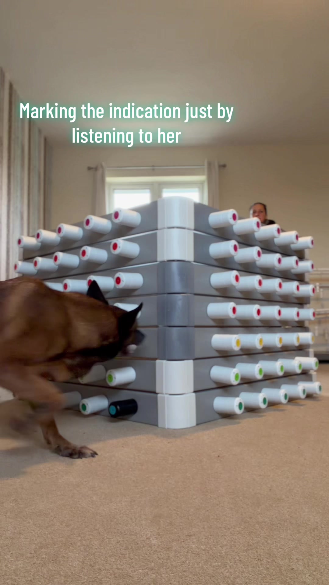 @Alexandra Butler-Enigma Canine
