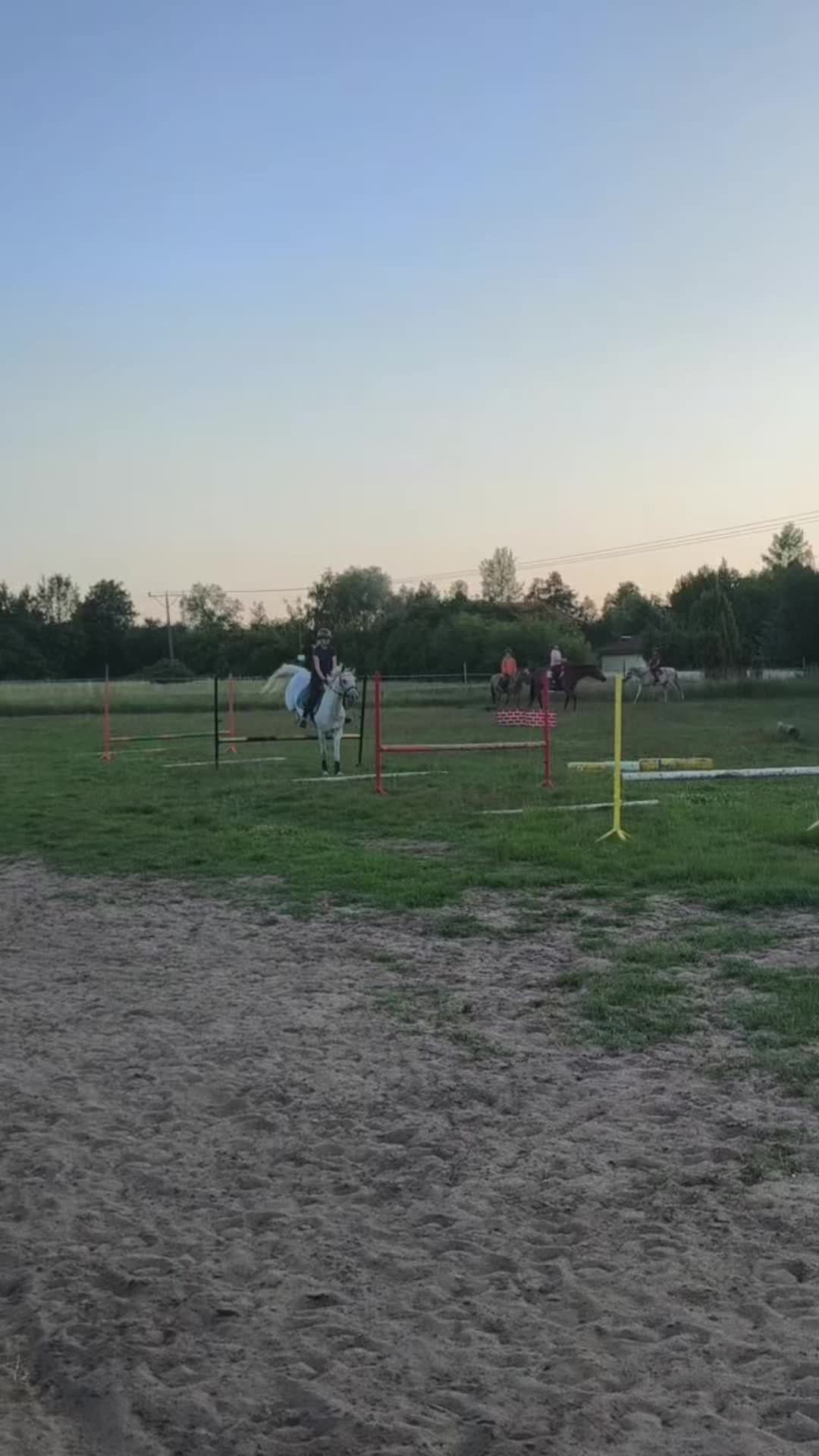 @lena🇵🇱